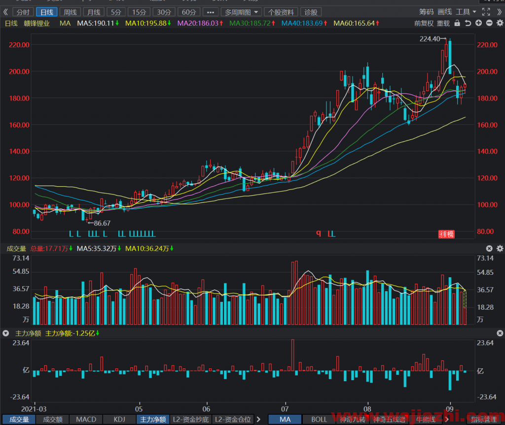 摩根大通：上调赣锋锂业目标价至210港元，评级增持